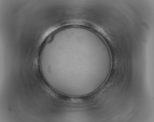 X0000113261312200910011359