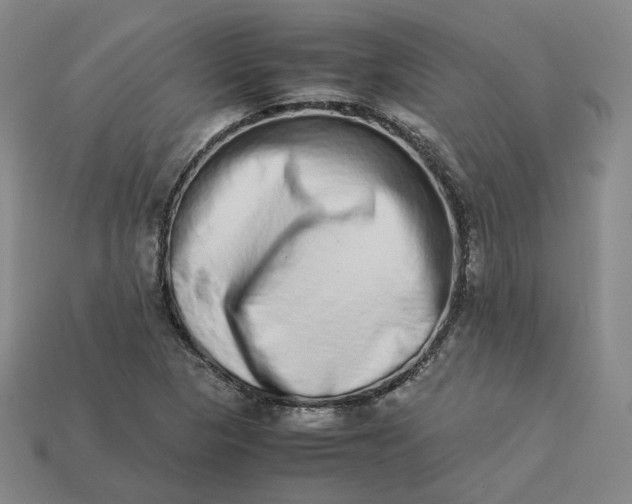 X0000113261313200910011359