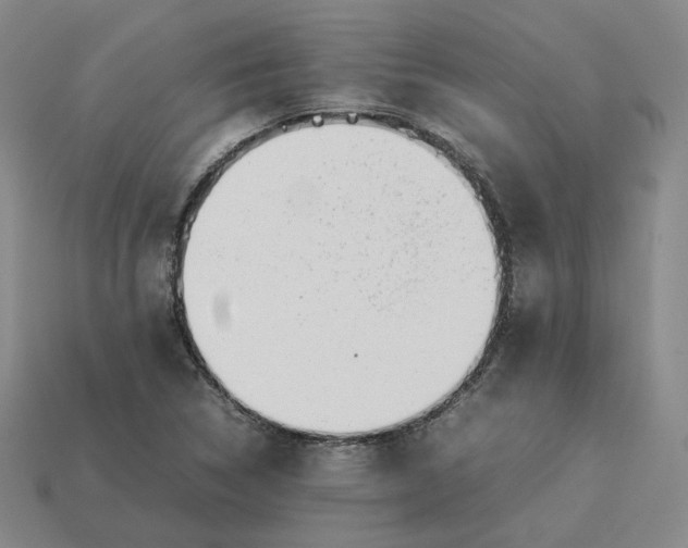 X0000113261314200910011359