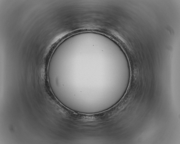 X0000113261315200910011359