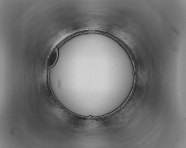 X0000113261316200910011359