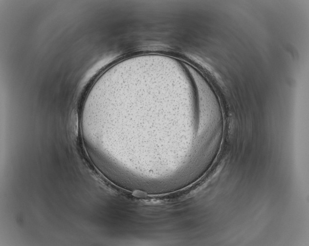 X0000113261317200910011359