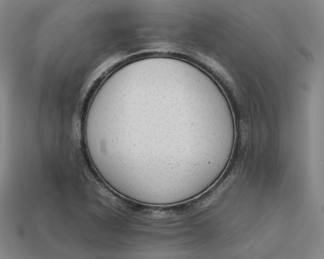 X0000113261318200910011359