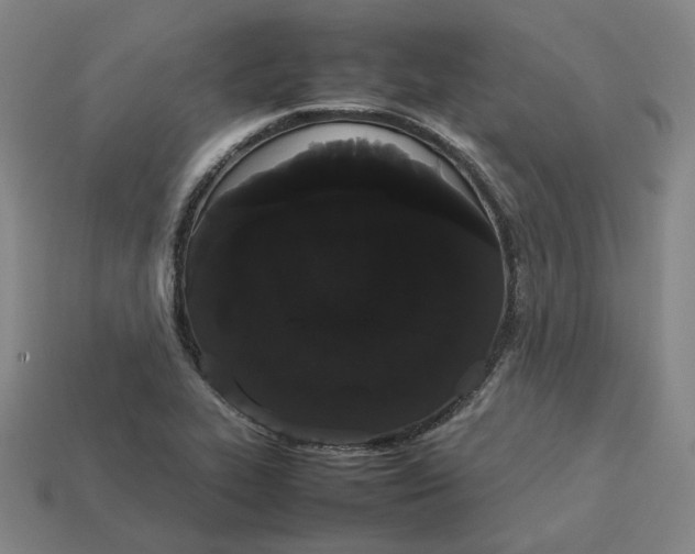 X0000113261319200910011359