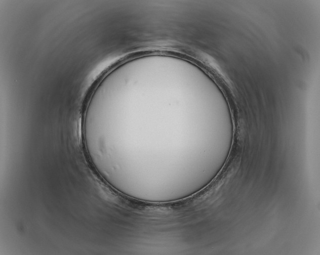 X0000113261320200910011359