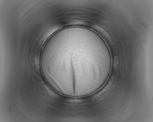 X0000113261321200910011359