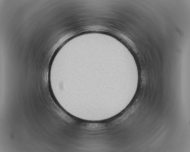 X0000113261322200910011359