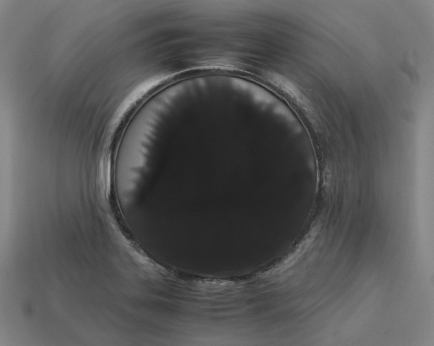 X0000113261323200910011359