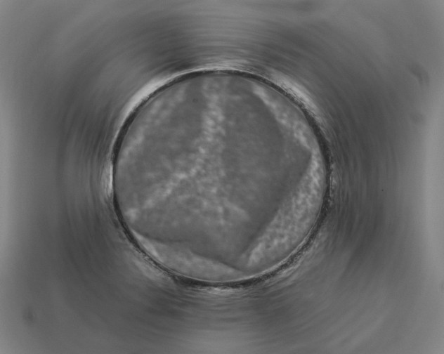 X0000113261324200910011359