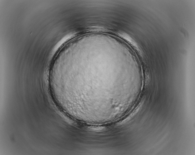 X0000113261325200910011359