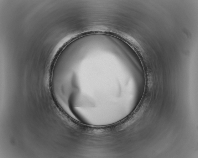 X0000113261326200910011359