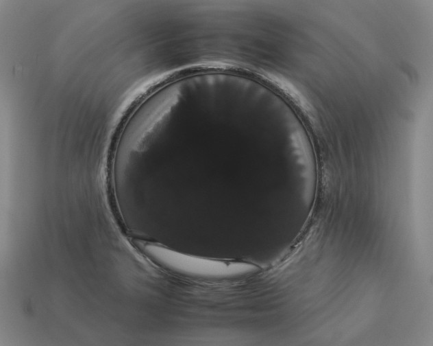 X0000113261327200910011359