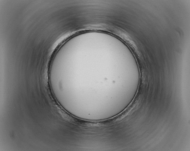 X0000113261328200910011359