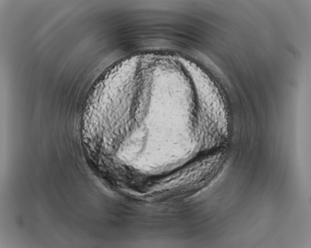 X0000113261329200910011359