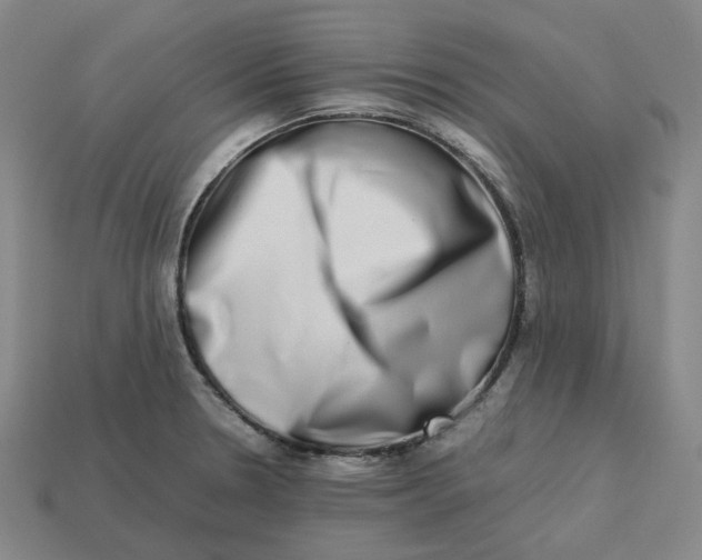 X0000113261330200910011359