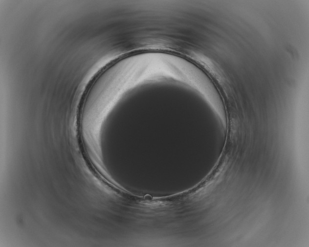 X0000113261331200910011359