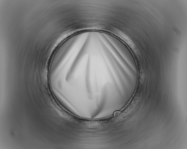 X0000113261332200910011359