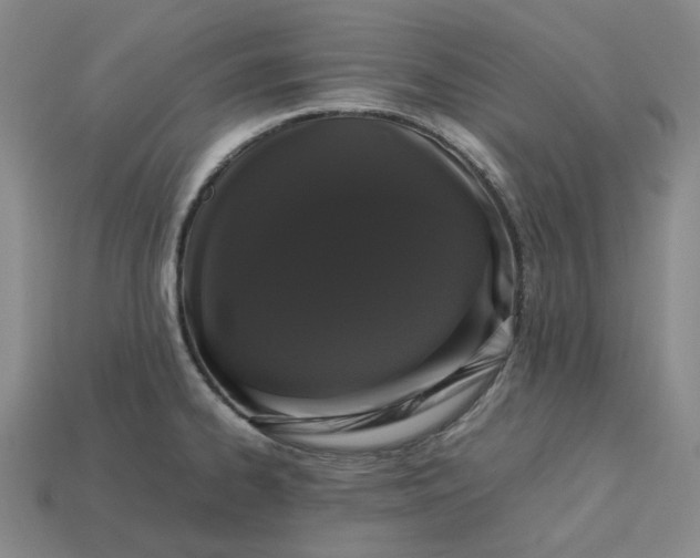 X0000113261334200910011359