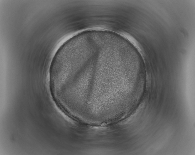 X0000113261335200910011359