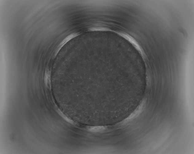 X0000113261337200910011359