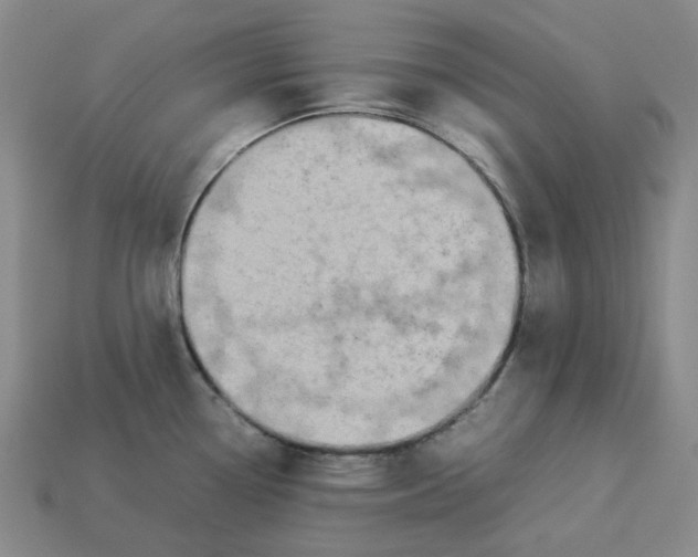 X0000113261338200910011359