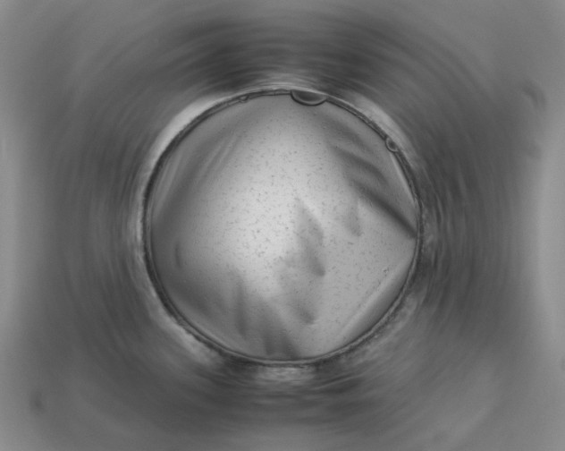 X0000113261339200910011359