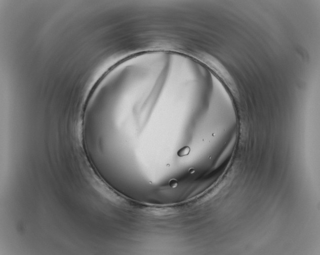 X0000113261340200910011359