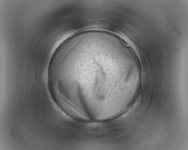 X0000113261341200910011359