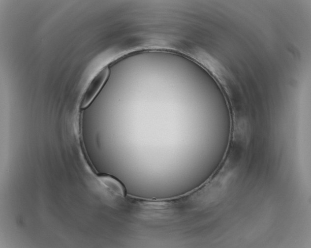 X0000113261342200910011359