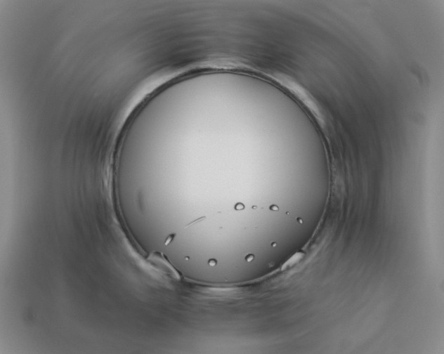 X0000113261343200910011359