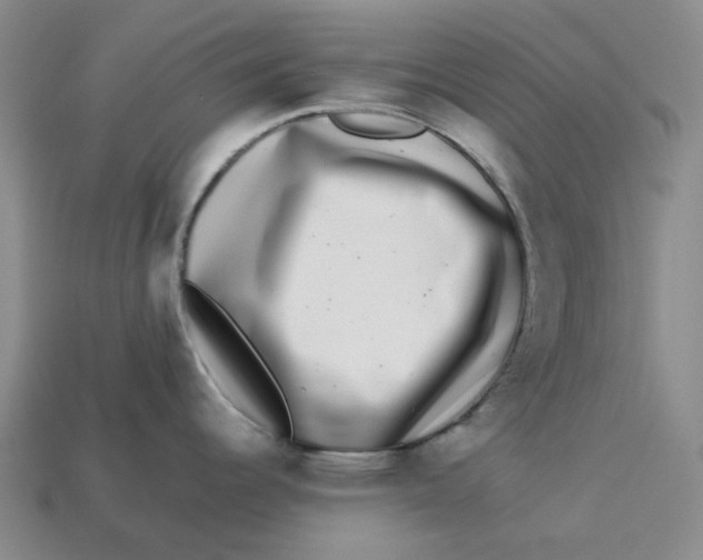 X0000113261344200910011359