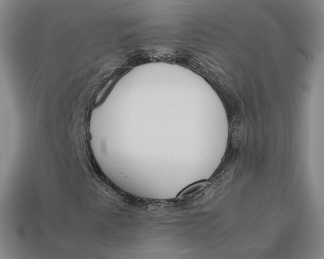 X0000113261345200910011359