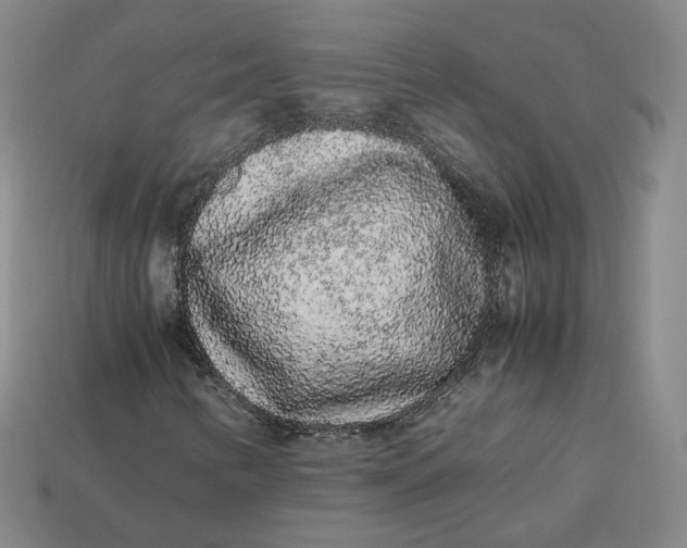 X0000113261346200910011359