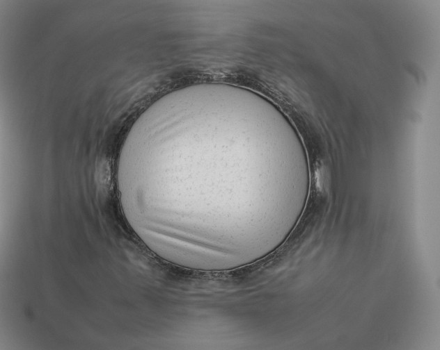 X0000113261347200910011359