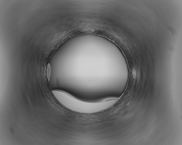 X0000113261348200910011359