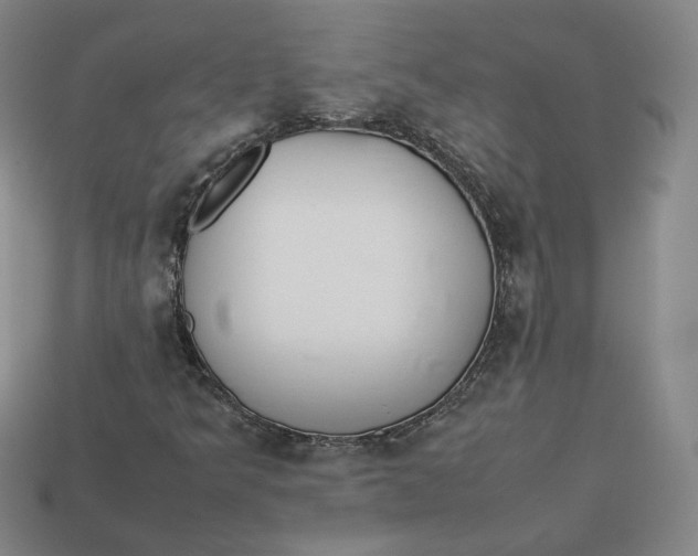 X0000113261349200910011358