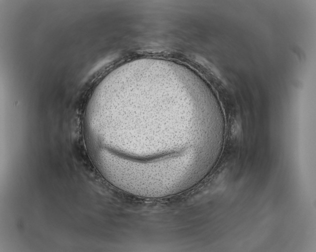 X0000113261350200910011358