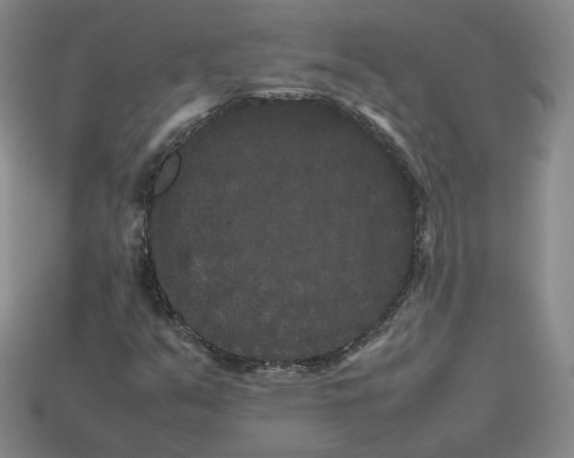 X0000113261351200910011358