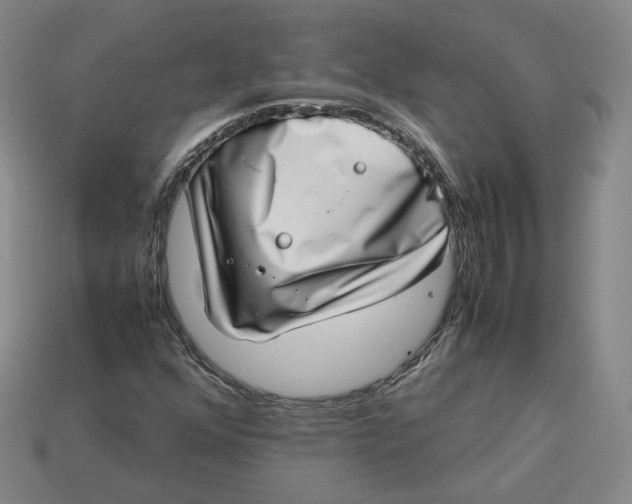 X0000113261352200910011358