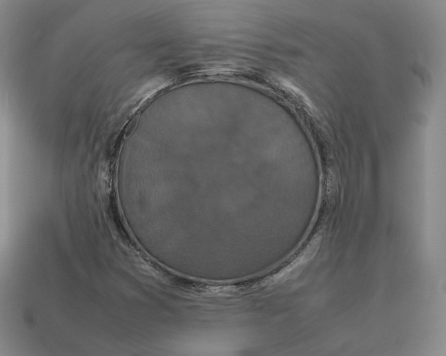 X0000113261353200910011358