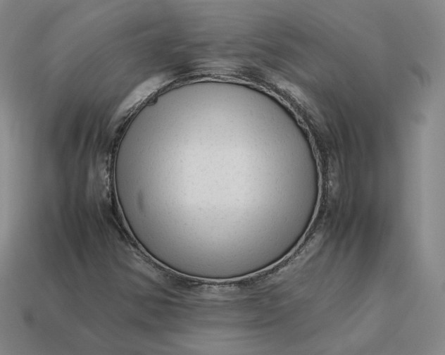 X0000113261354200910011358