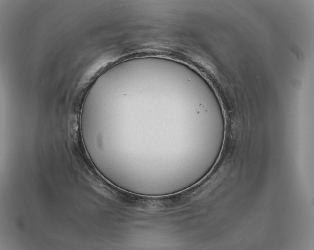 X0000113261355200910011358