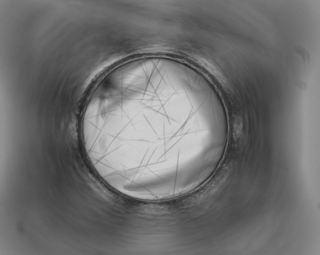 X0000113261356200910011358