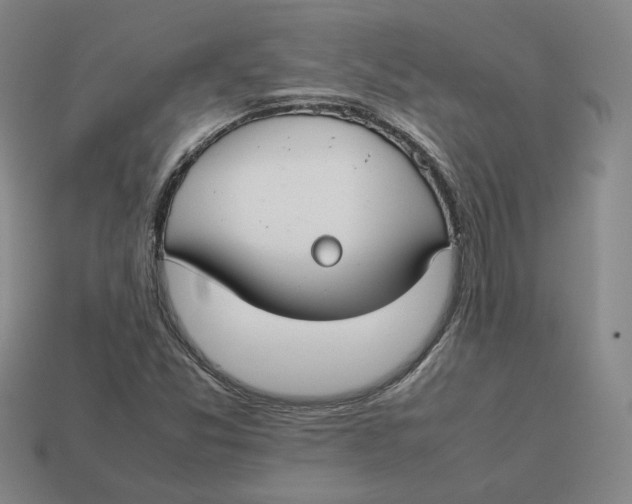 X0000113261357200910011358