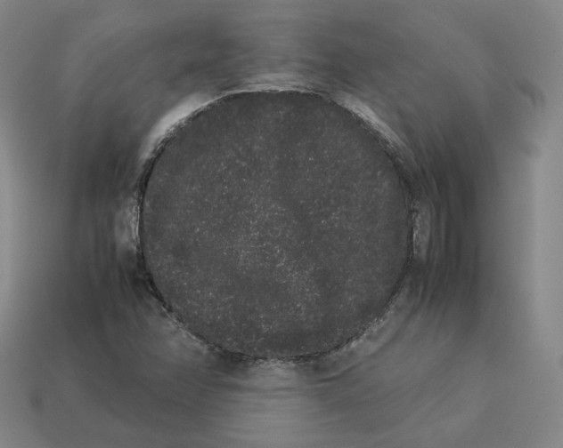 X0000113261358200910011358