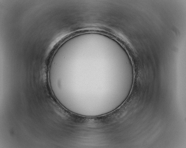 X0000113261360200910011358