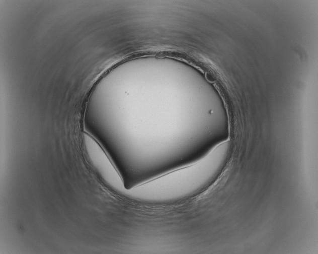 X0000113261361200910011358