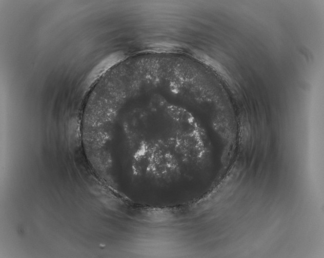 X0000113261362200910011358