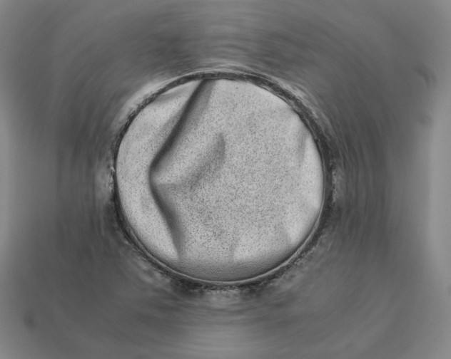 X0000113261363200910011358