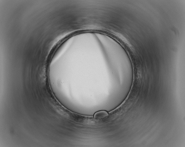 X0000113261364200910011358